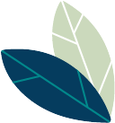 duo de feuilles